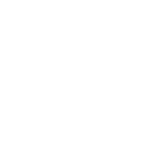 20 Jahre VW